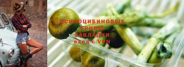 дживик Верхний Тагил