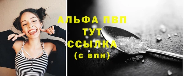 дживик Верхний Тагил