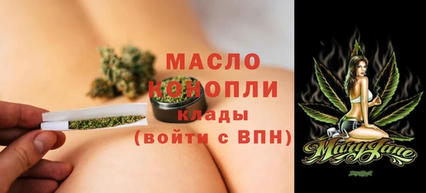 дживик Верхний Тагил