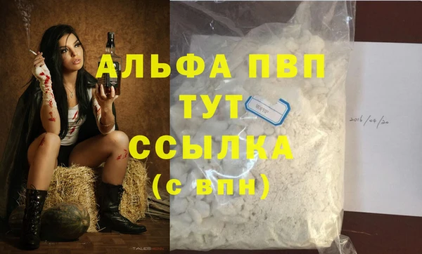дживик Верхний Тагил